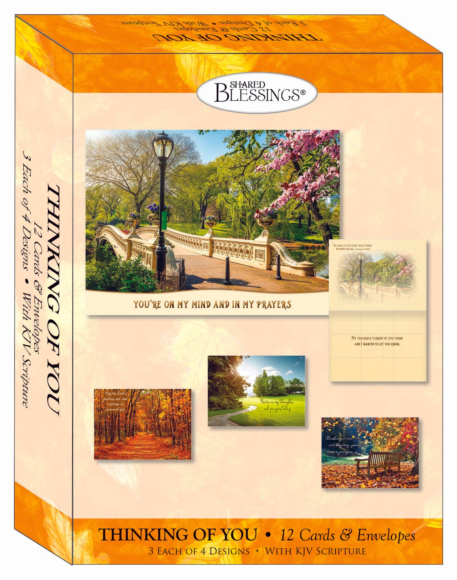 Christian Thinking of You Cards by Shared Blessings- Pathways - 12 Cards and Envelopes