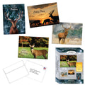 Collection of birthday cards with deer designs and a box packaging.