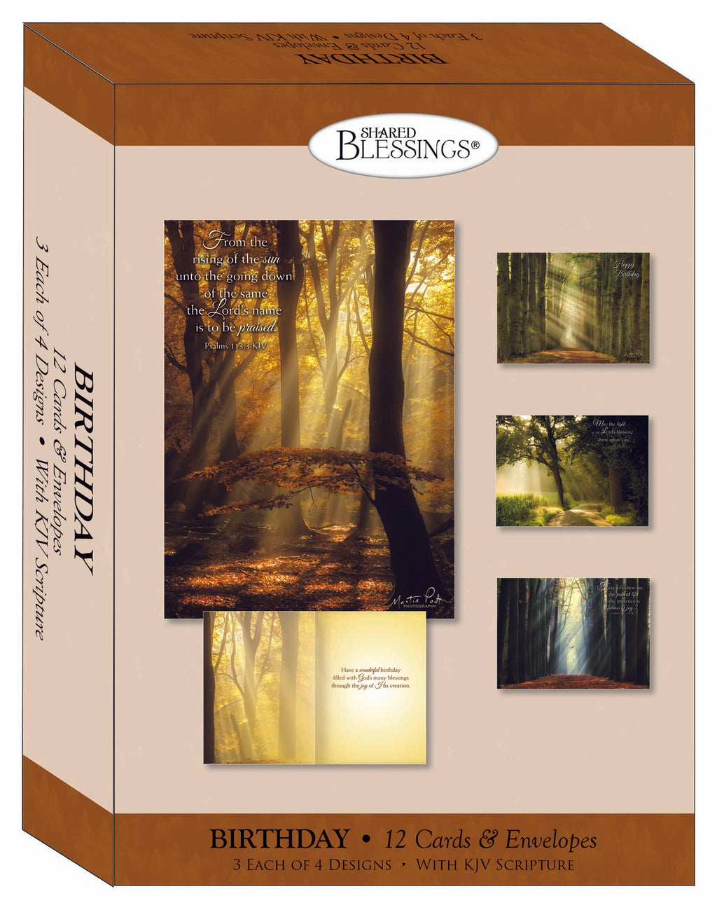 Christian Birthday Cards by Shared Blessings- Rays of Light, Box of 12 Cards