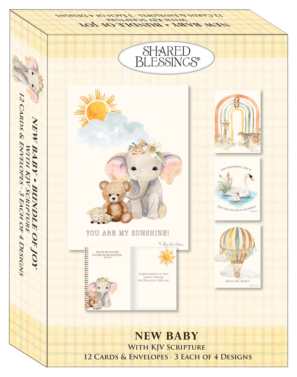 Christian New Baby Cards by Shared Blessings - Bundle of Joy - 12 Assorted New Baby Cards