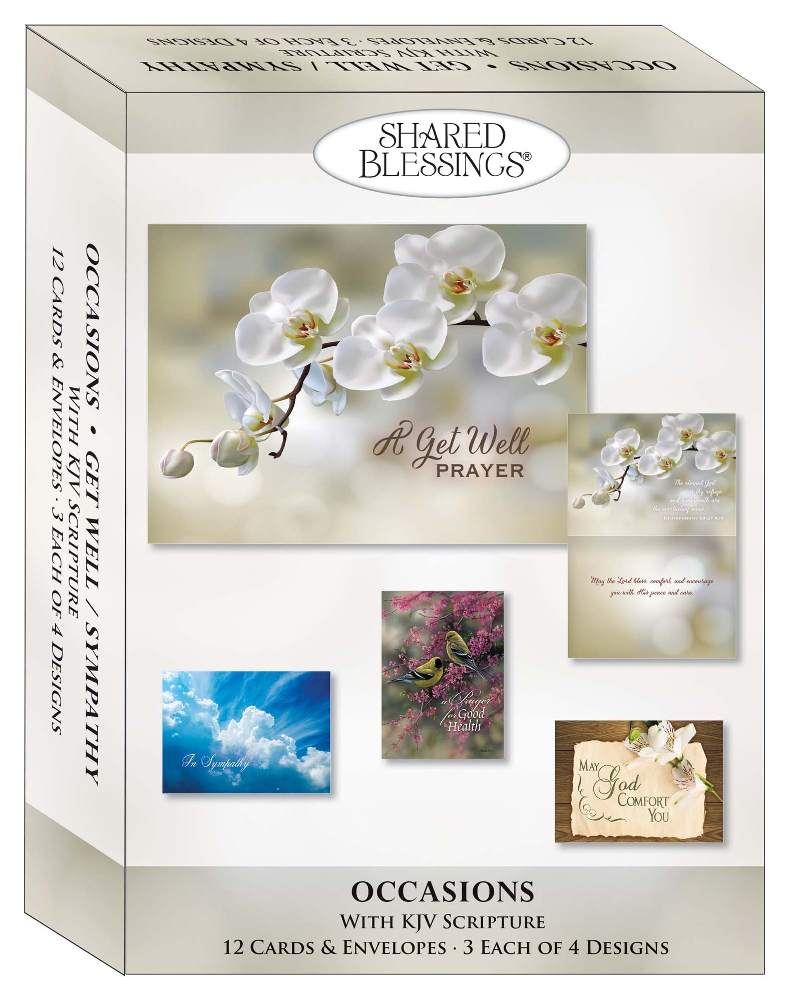 Occasions Get Well and Sympathy - Box of 12 Assorted Get Well and Sympathy Cards by Shared Blessings