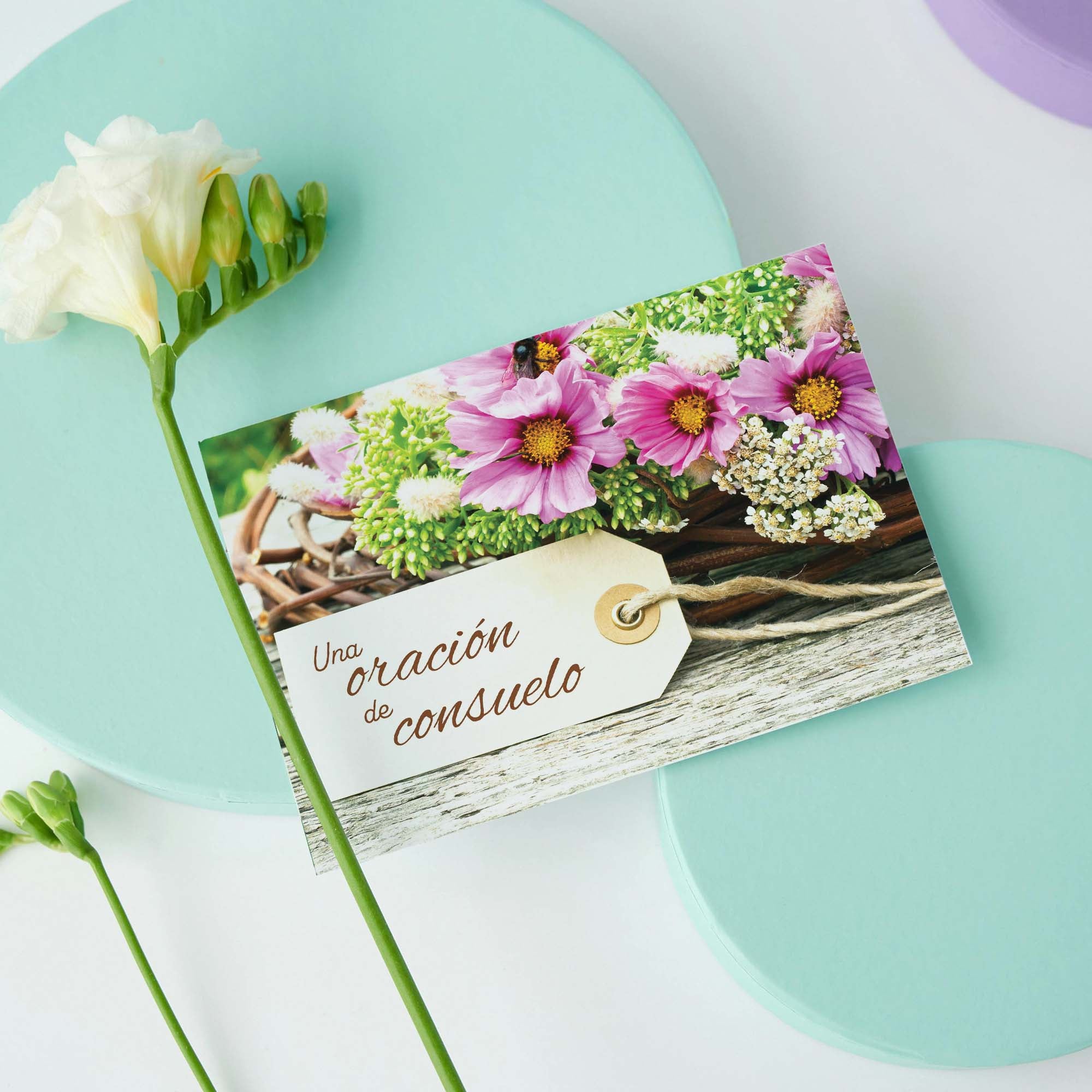 Christian Spanish Sympathy Cards by Shared Blessings, Flores Rústicas