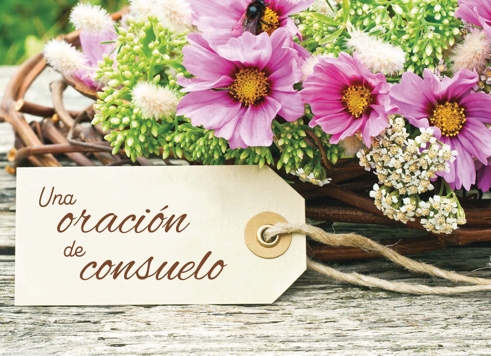 Christian Spanish Sympathy Cards by Shared Blessings, Flores Rústicas