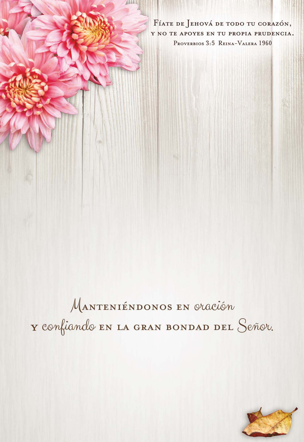 Christian Spanish Sympathy Cards by Shared Blessings, Flores Rústicas