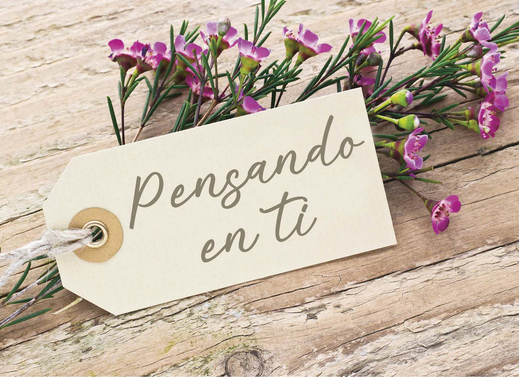 Christian Spanish Sympathy Cards by Shared Blessings, Flores Rústicas
