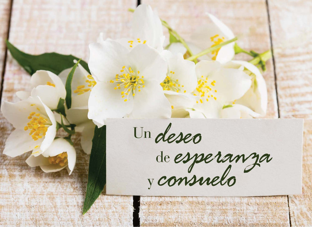 Christian Spanish Sympathy Cards by Shared Blessings, Flores Rústicas