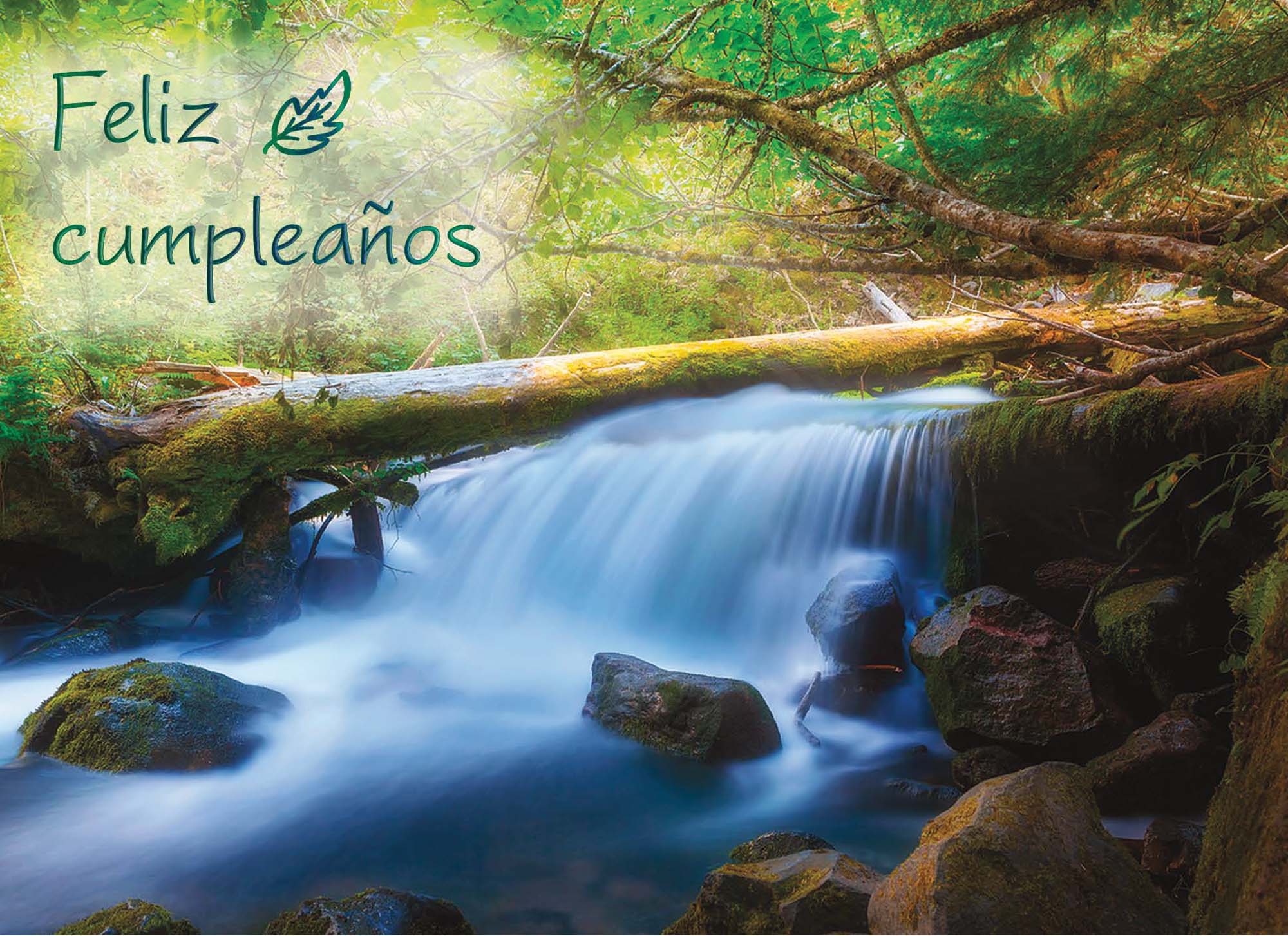 Religious Birthday Cards with Scripture in Spanish | Dios Te Celebra