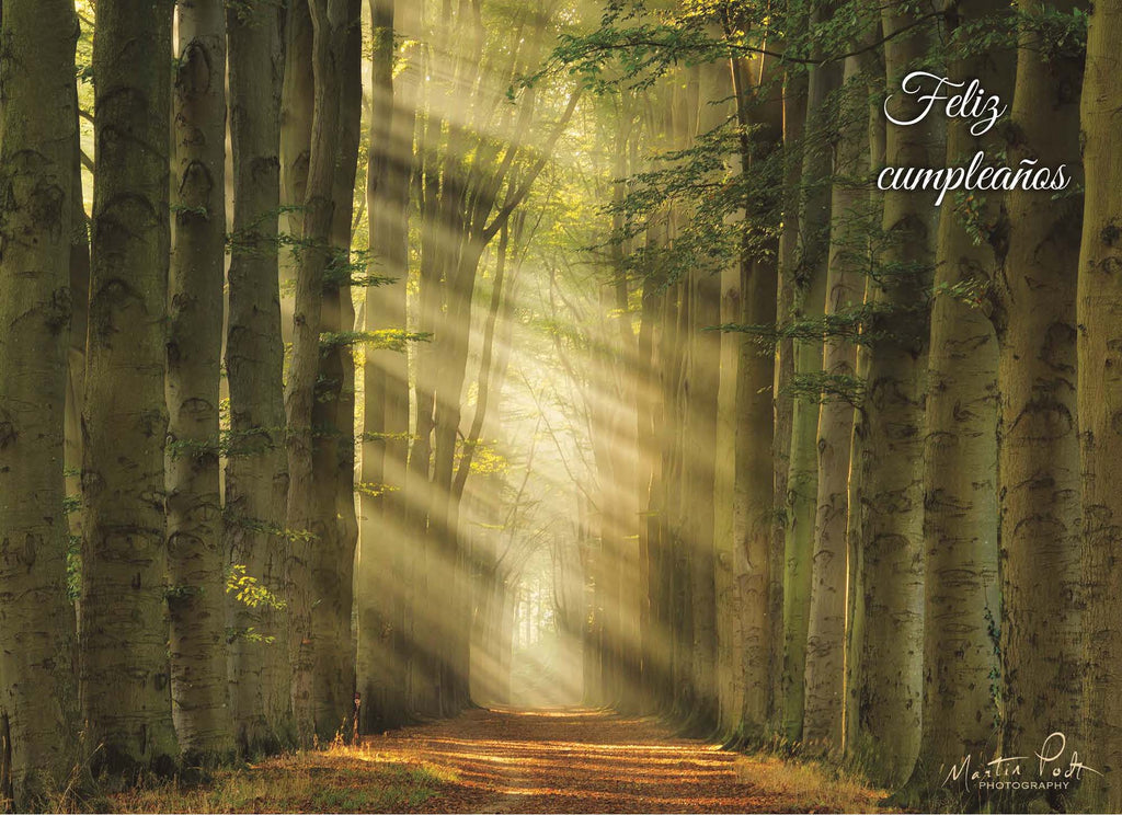 Religious Birthday Cards with Scripture in Spanish | Dios Te Celebra