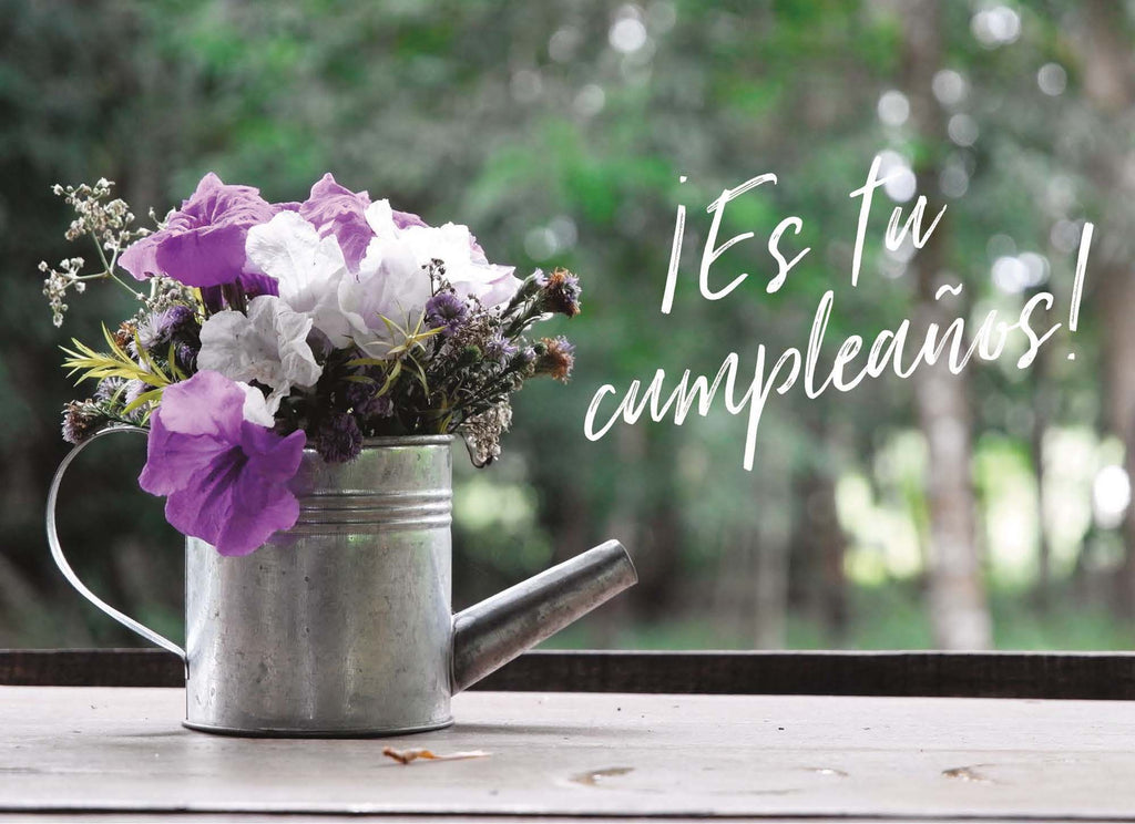 Religious Birthday Cards with Scripture in Spanish | Dios Te Celebra