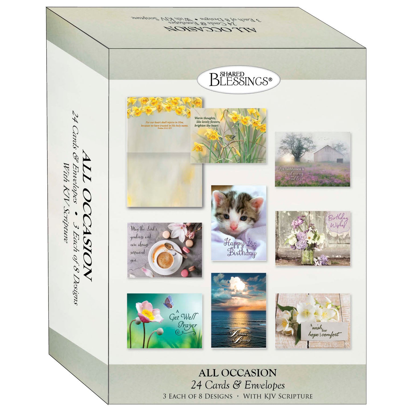 All Occasion Large Assortment - Variety Assortment Cards, Box of 24