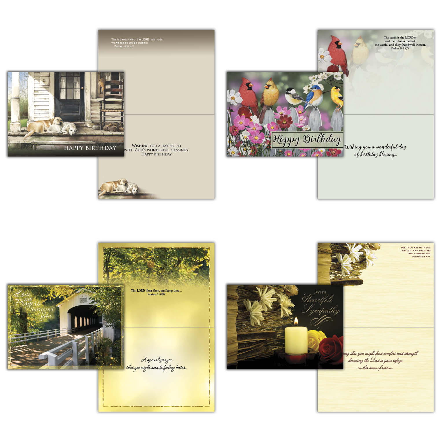 Moments - Large Assortment of Occasion Cards, Box of 24 by Shared Blessings