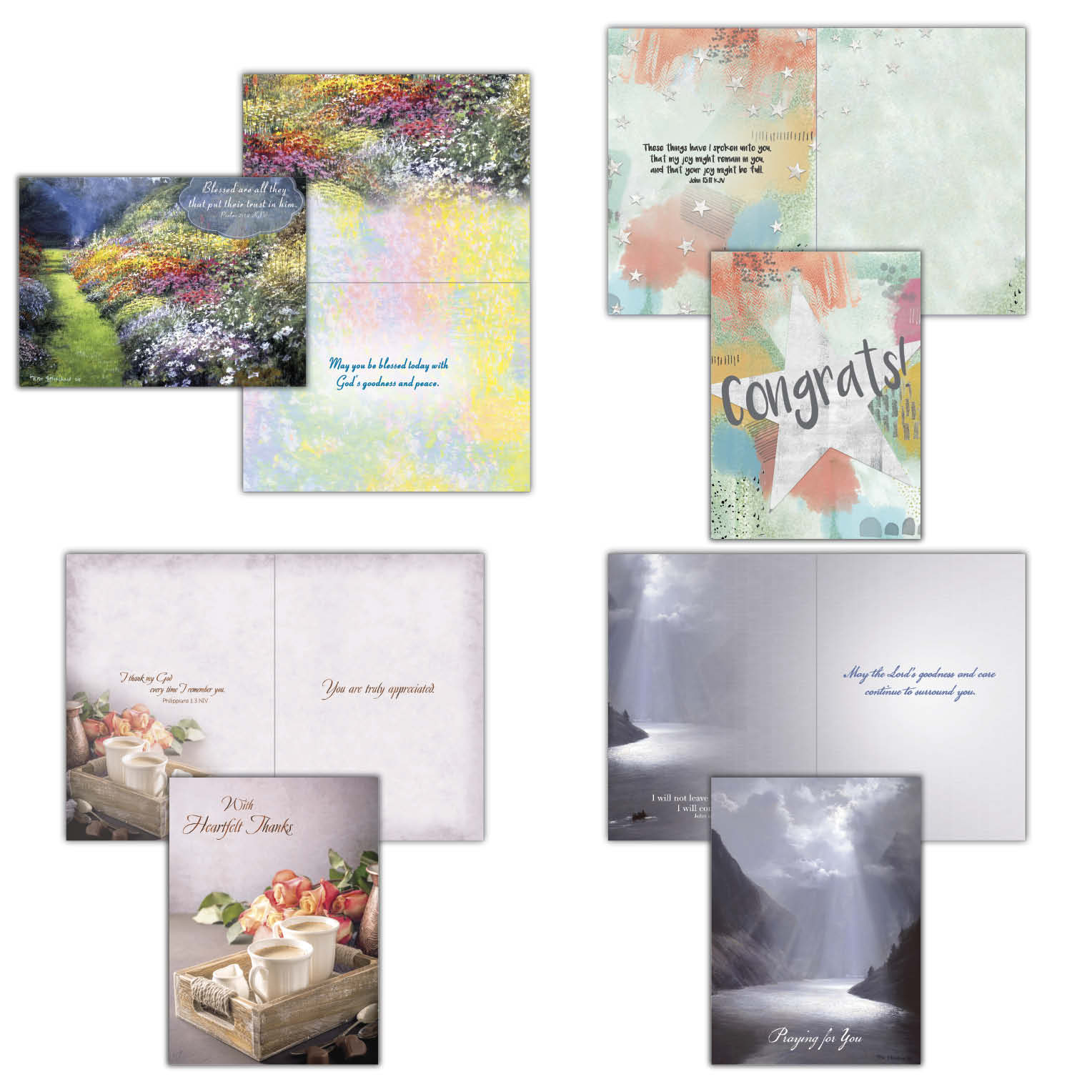 Moments - Large Assortment of Occasion Cards, Box of 24 by Shared Blessings
