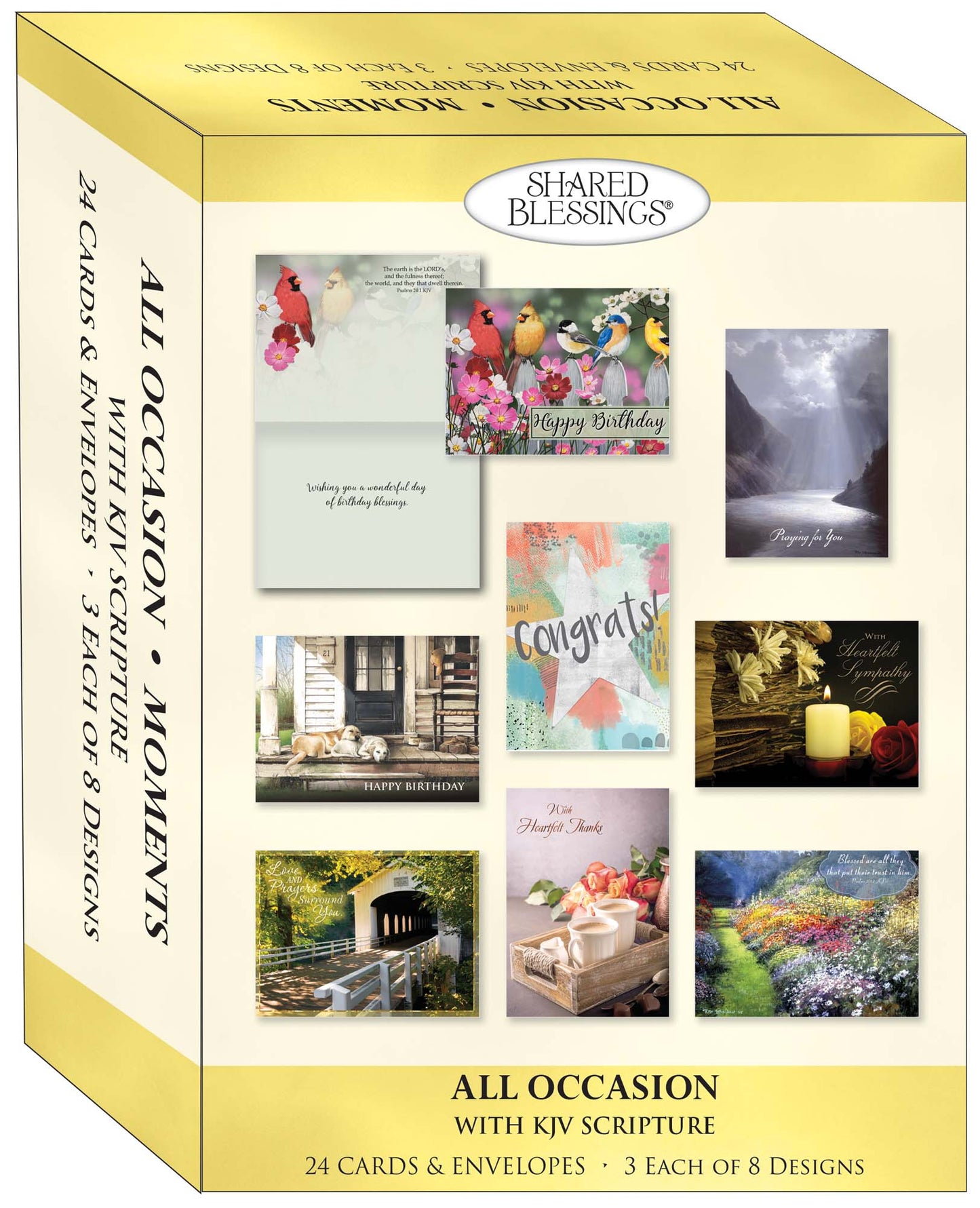 Moments - Large Assortment of Occasion Cards, Box of 24 by Shared Blessings