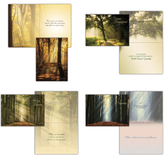 Religious Sympathy Cards | Light of the World- Box of 12 Assorted Sympathy Cards by Shared Blessings