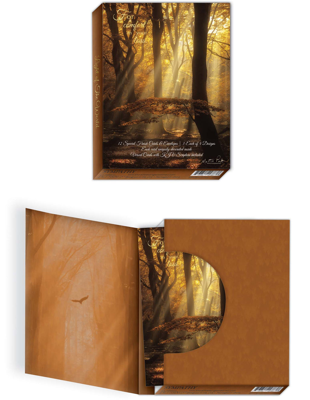 Religious Sympathy Cards | Light of the World- Box of 12 Assorted Sympathy Cards by Shared Blessings