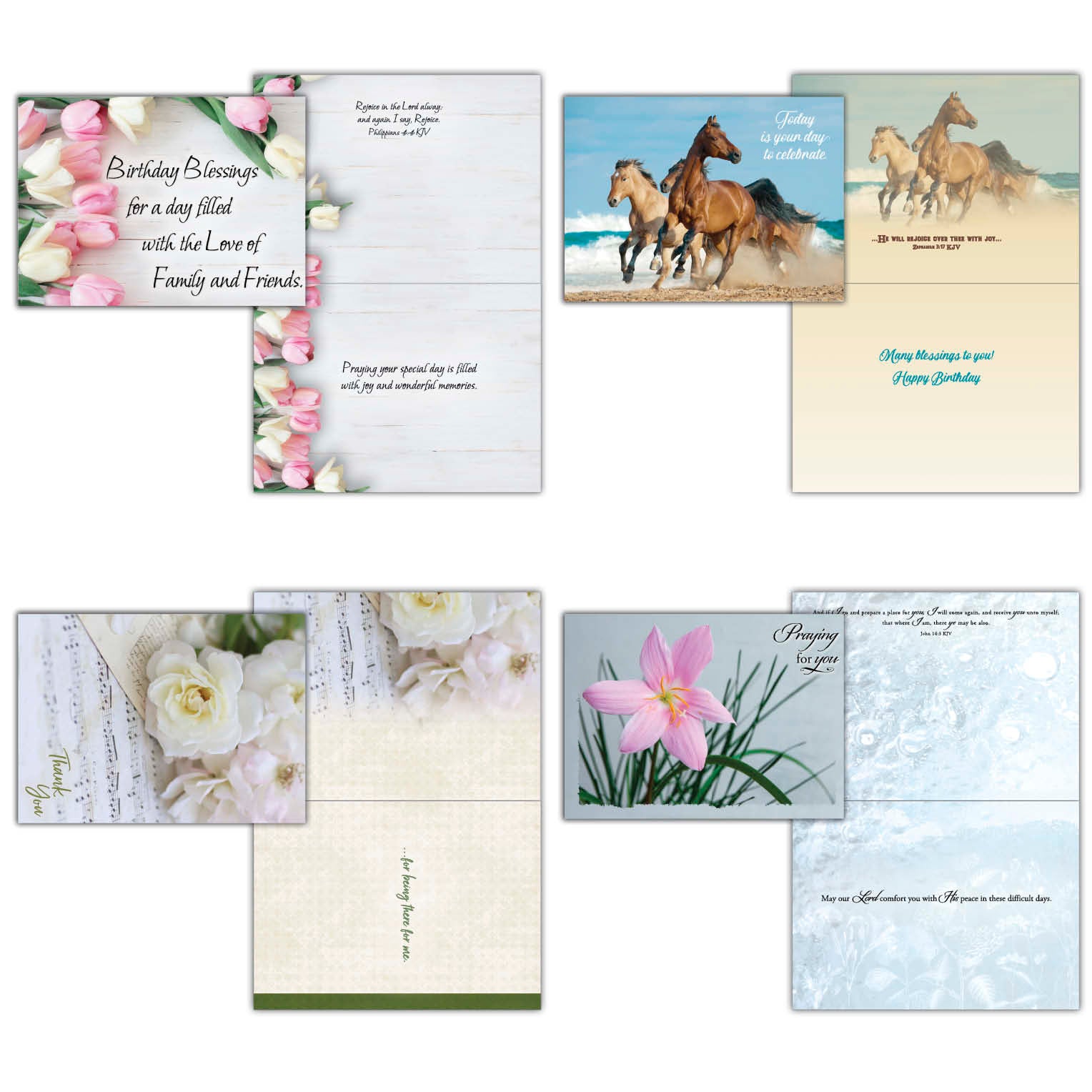 Value Assortment No.1 - Assorted All Occasion, Box of 48