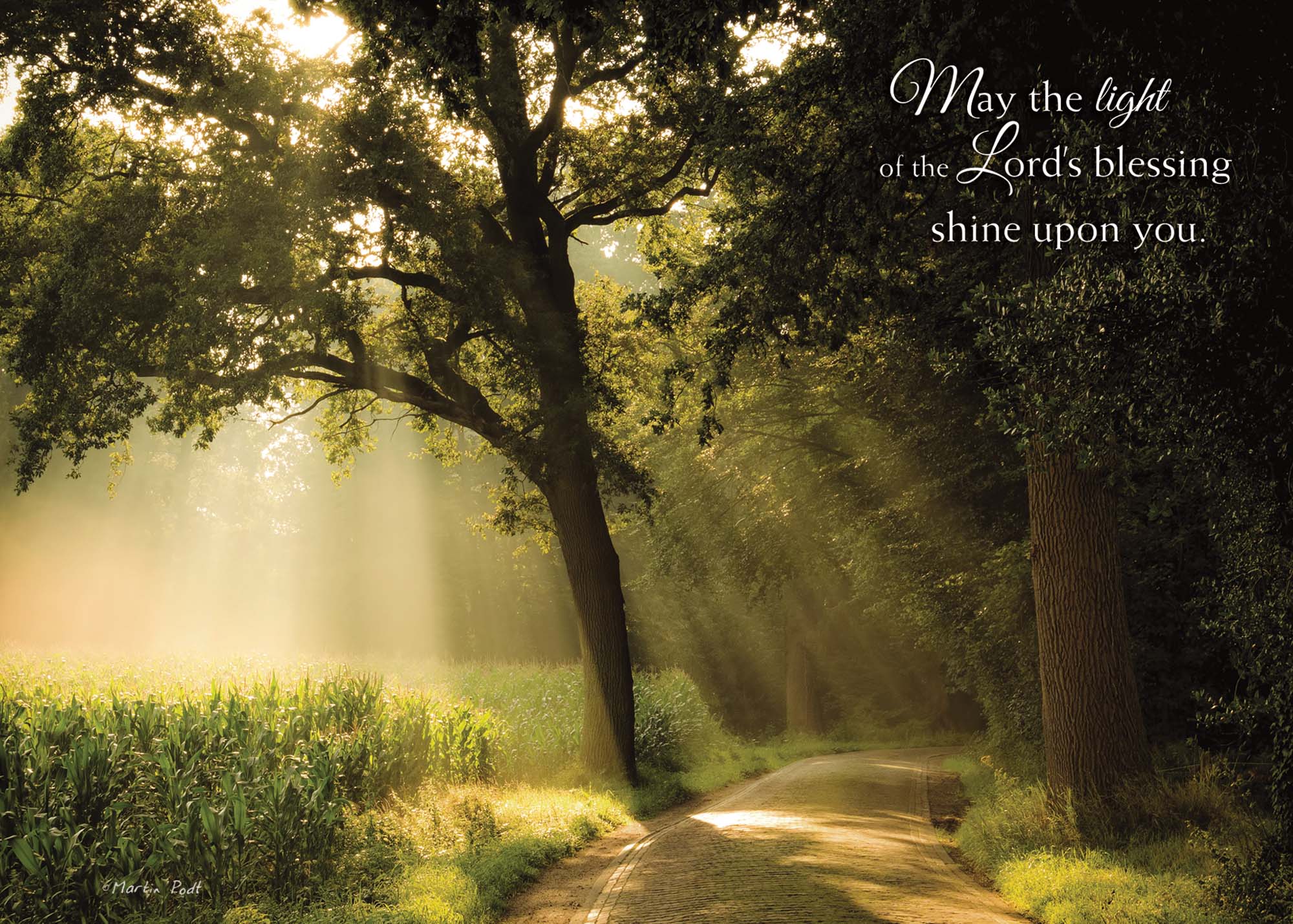 Shower of Light | Christian Birthday Card