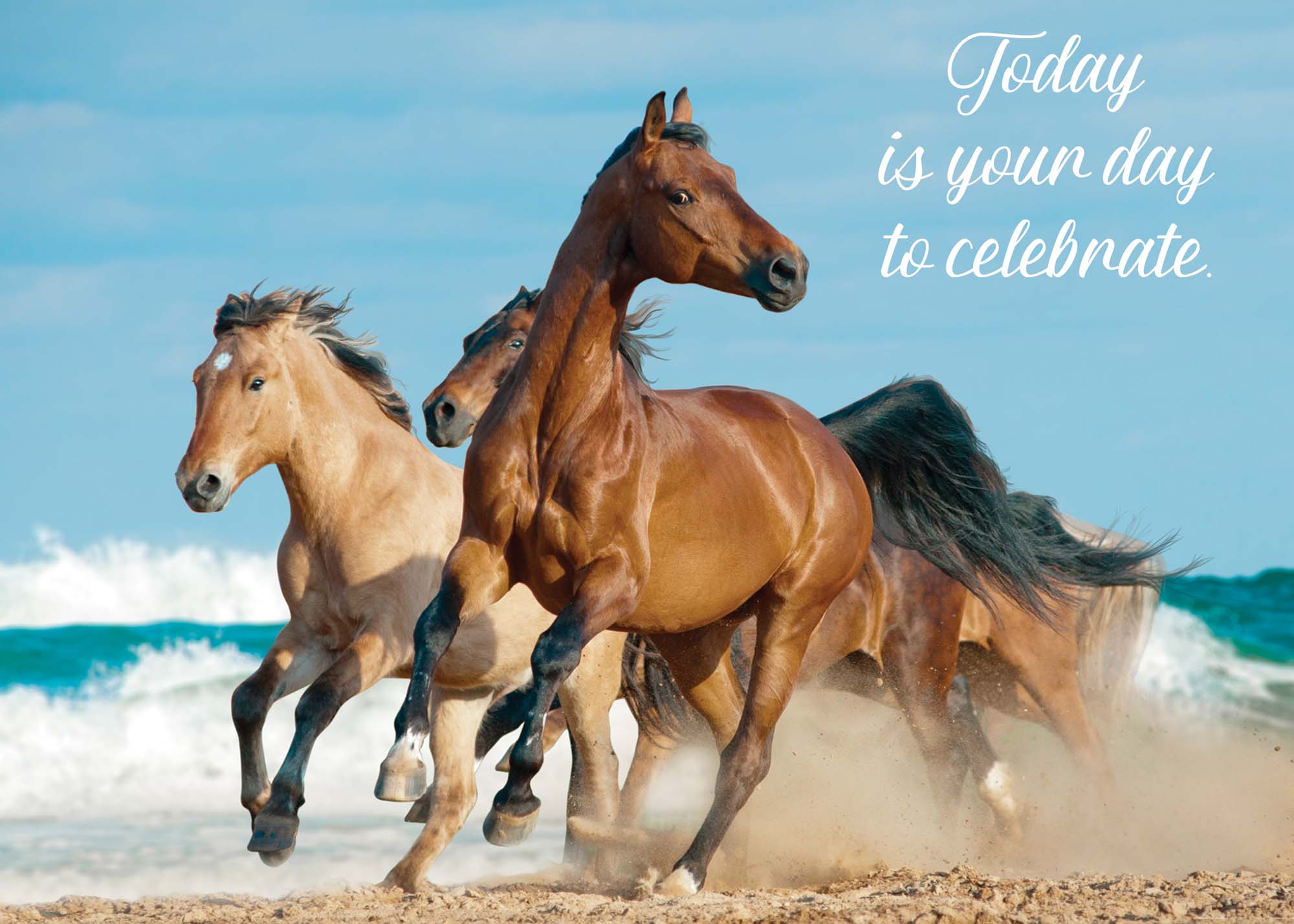 Christian Birthday Card | Horses Running by the Ocean