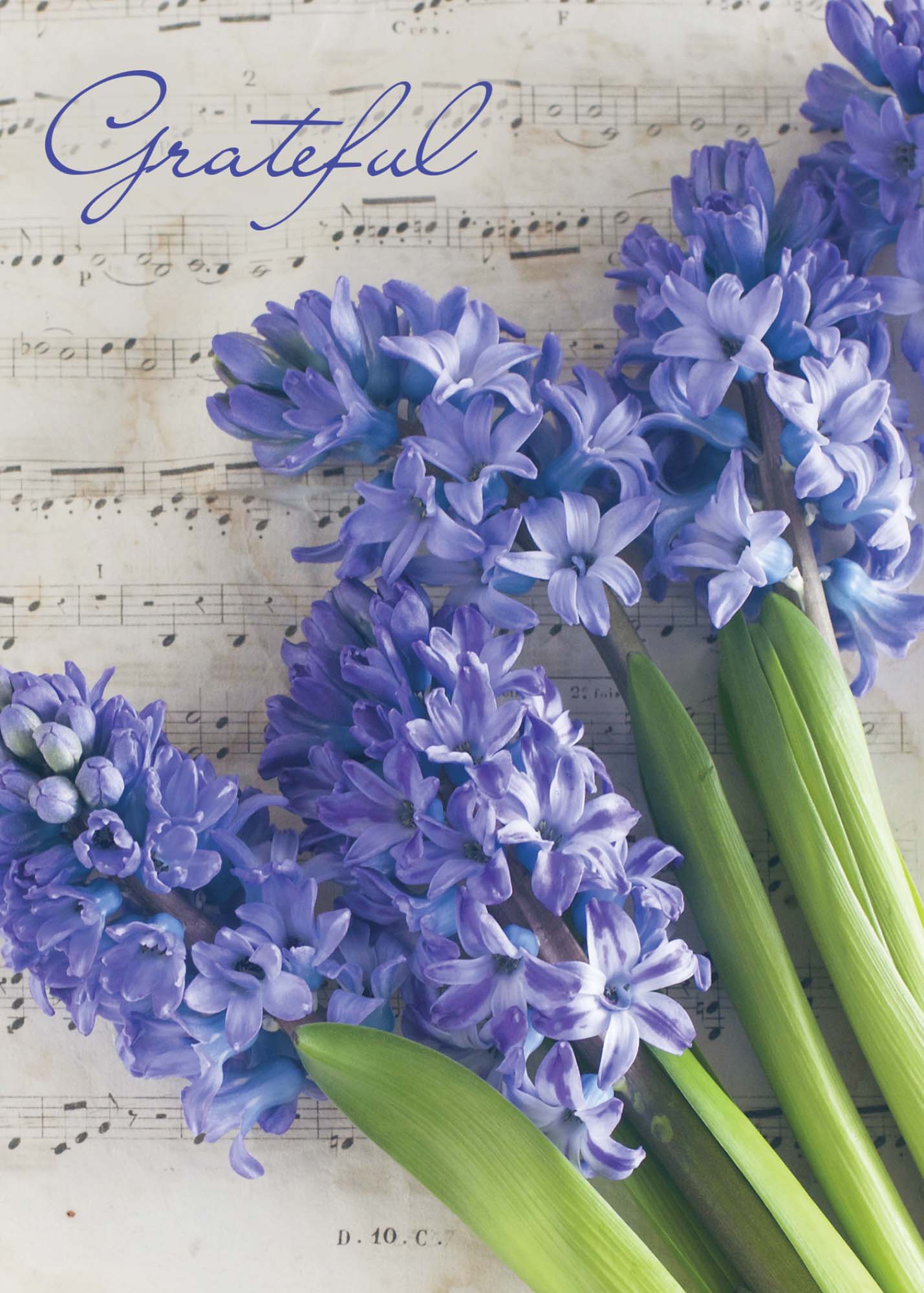 Christian Thank You Card | Hyacinth Sheet Music