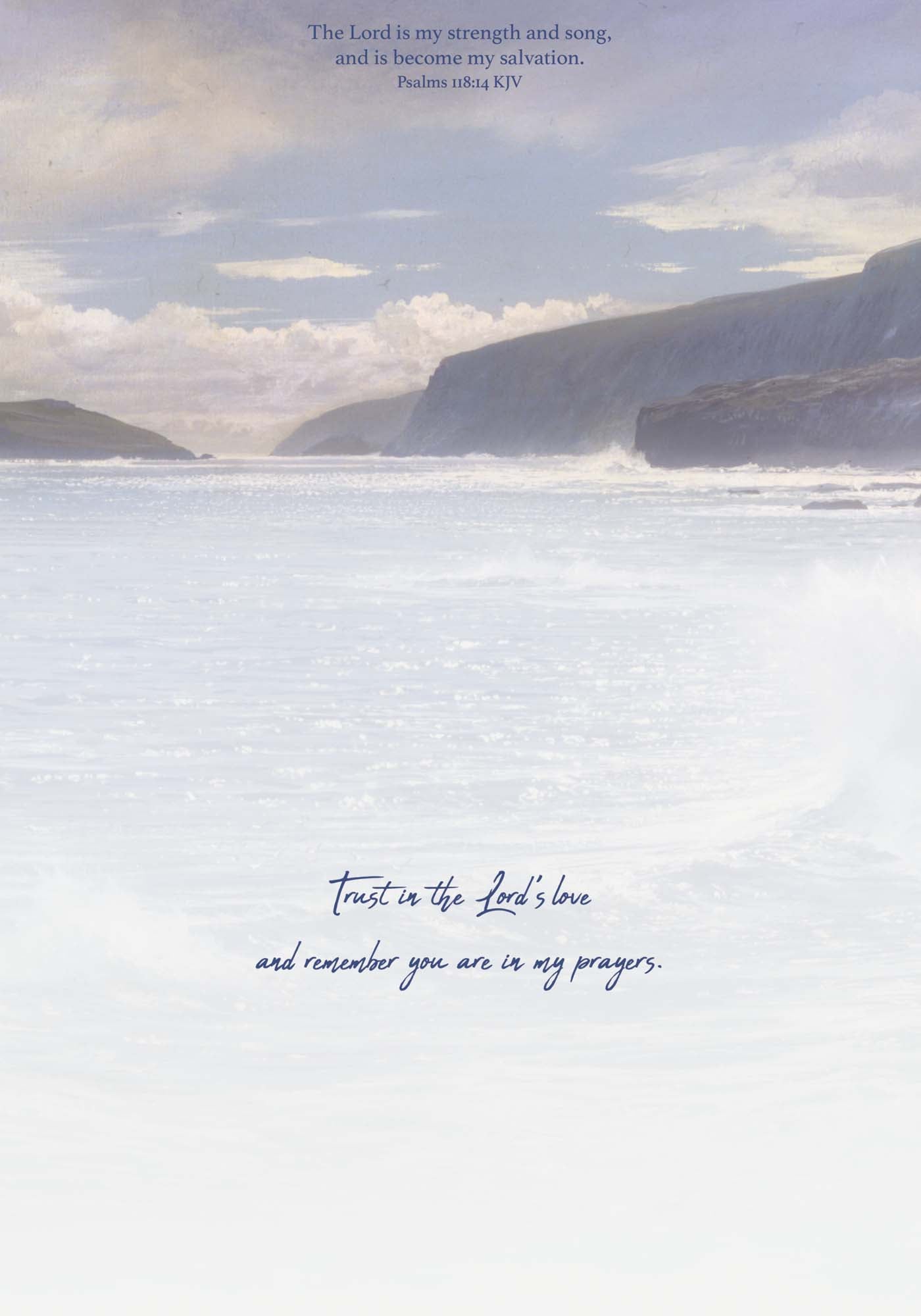 Praying for You Greeting Card, Puffin Island