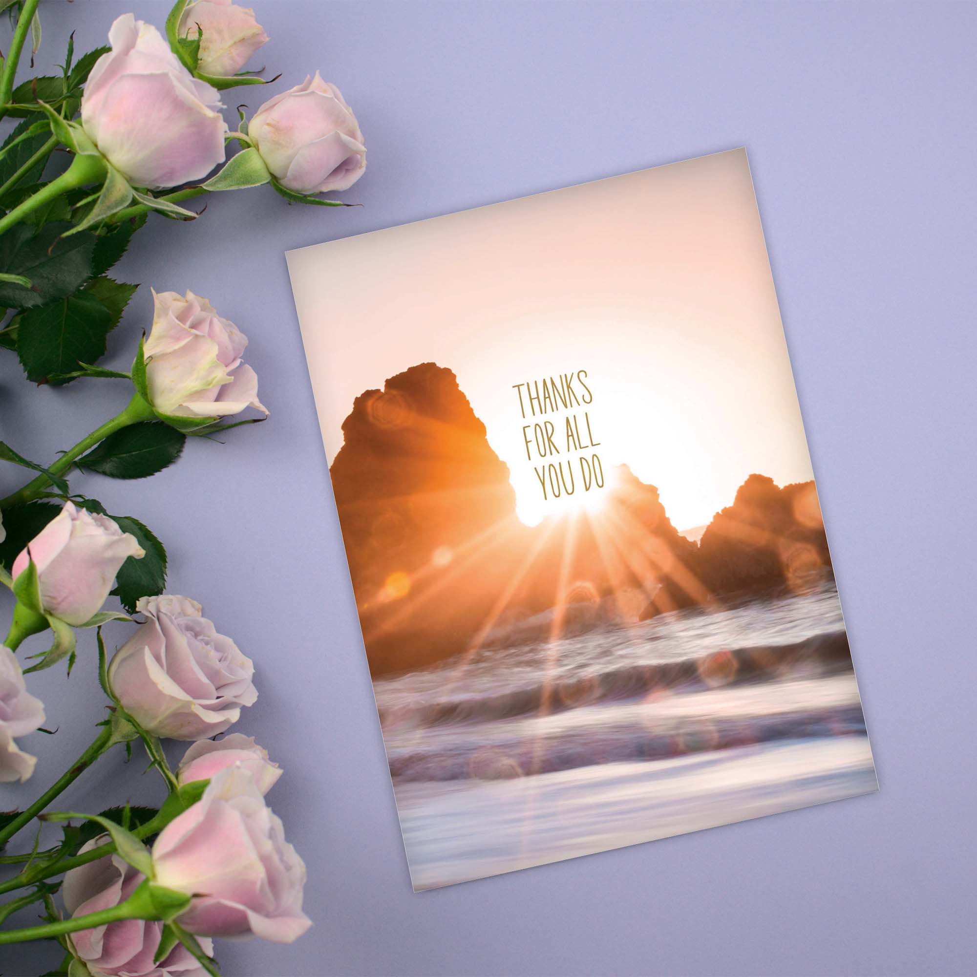 Greeting card with sunset design and 'Thanks for all you do' text, surrounded by pink roses on a purple background.