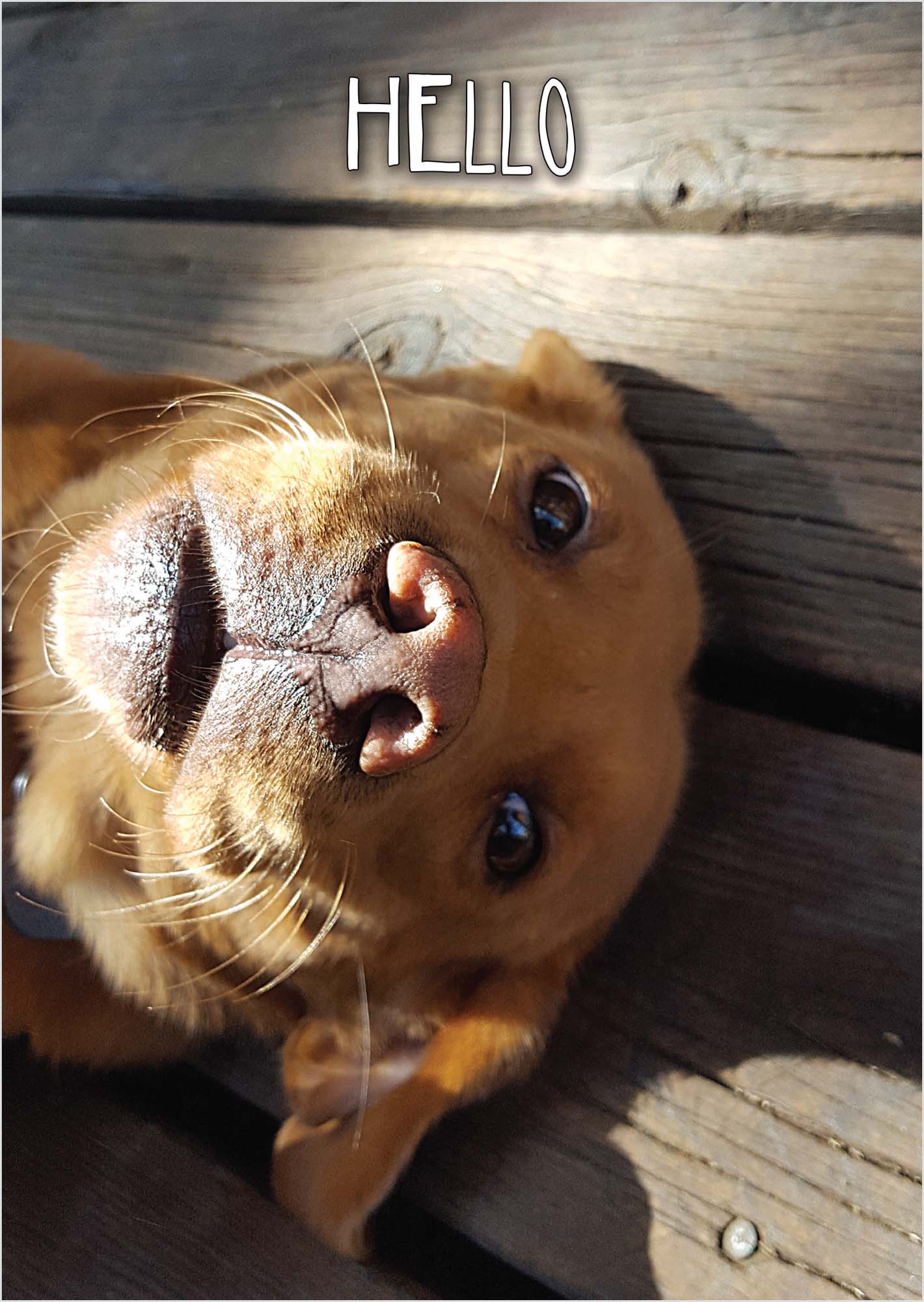 Religious Thinking of You Card | Hello