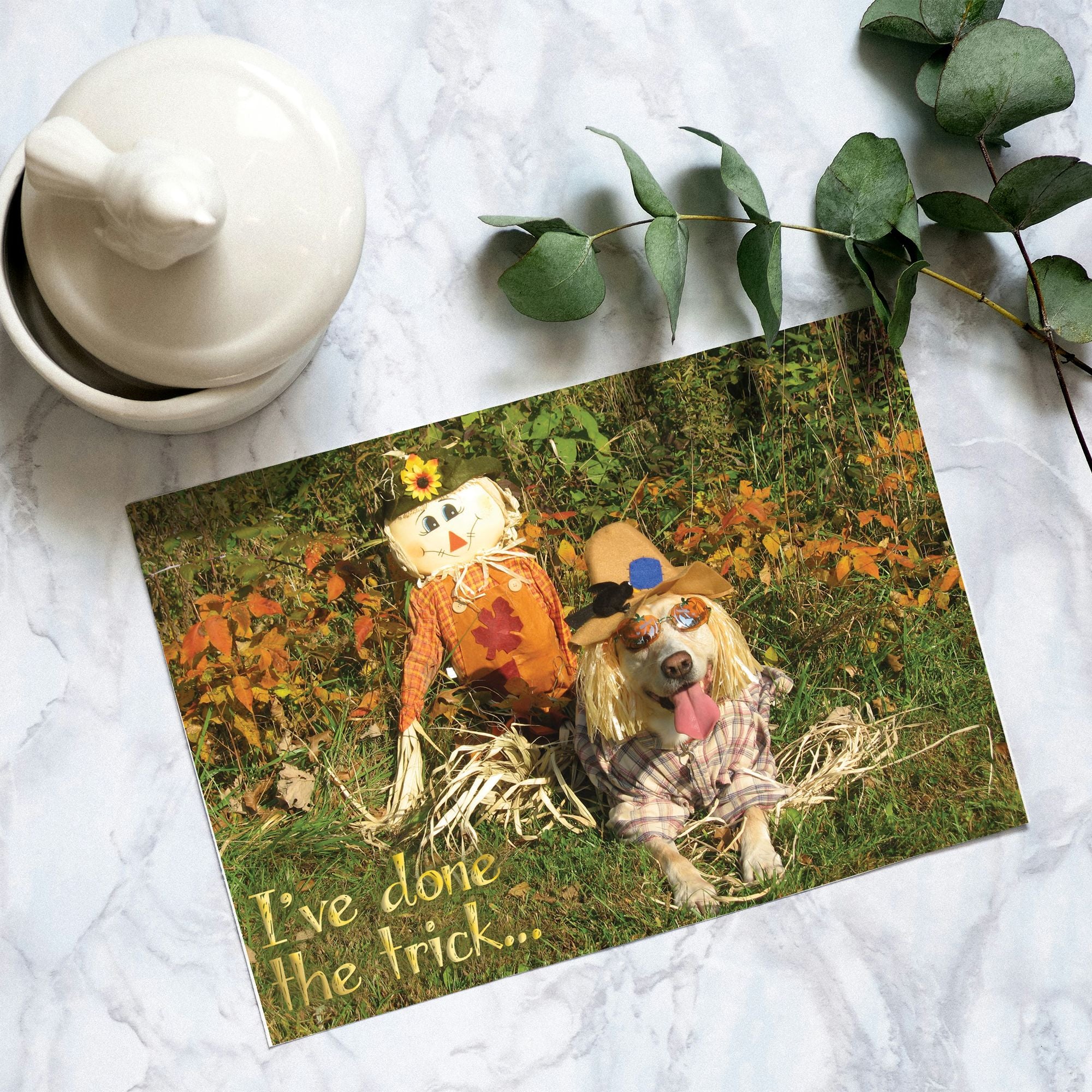 Religious Halloween Card | I’ve Done the Trick