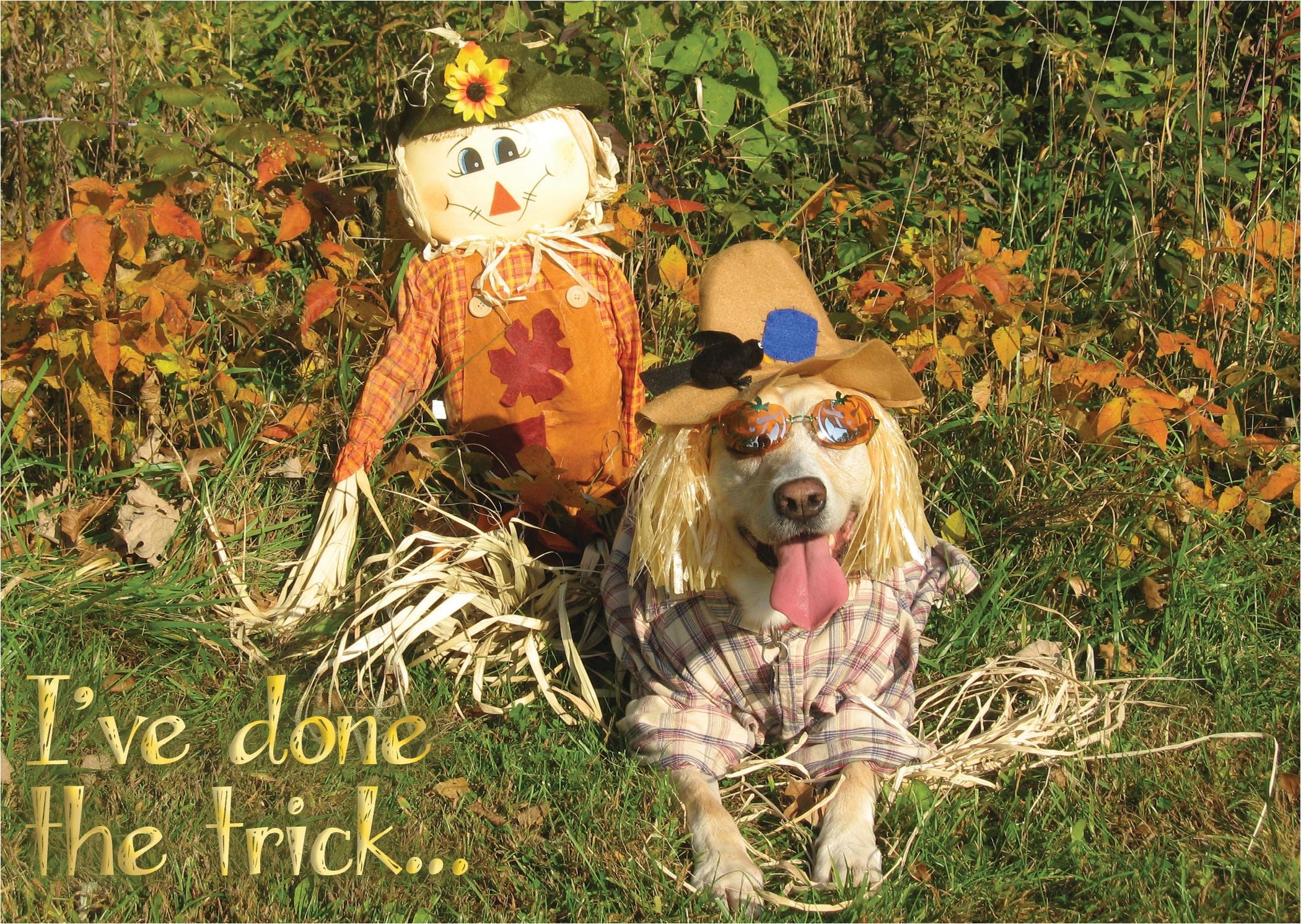 Religious Halloween Card | I’ve Done the Trick