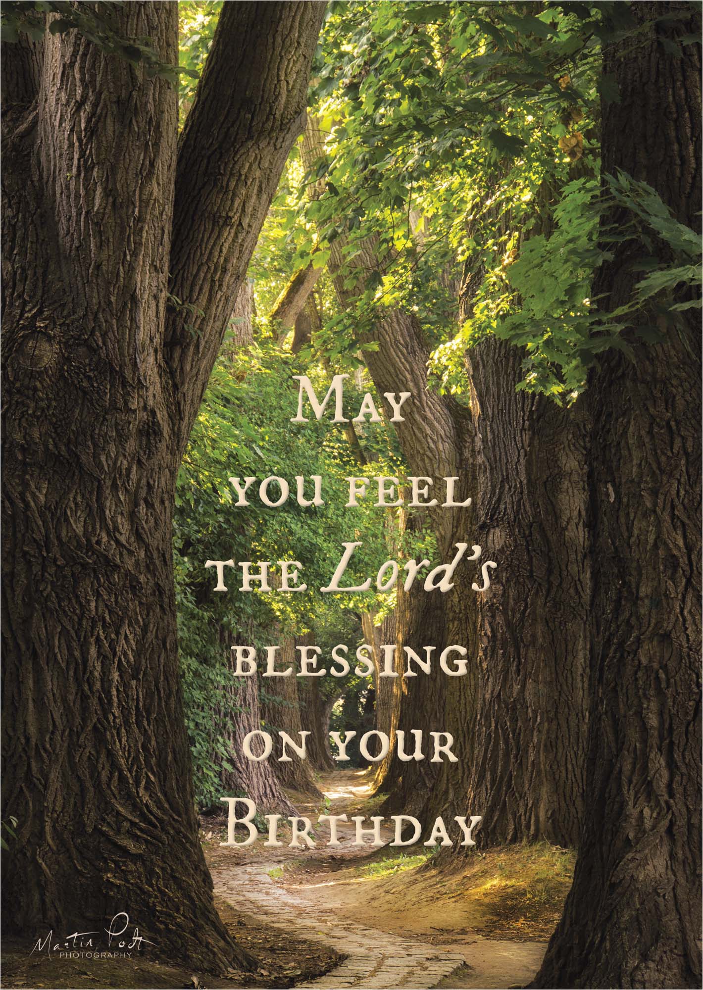 Shared Blessings Forest Path Christian Birthday Card