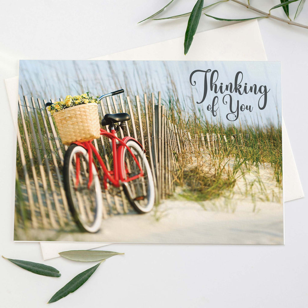 Red bicycle with a basket on a beach, 'Thinking of You' text above, surrounded by green leaves.