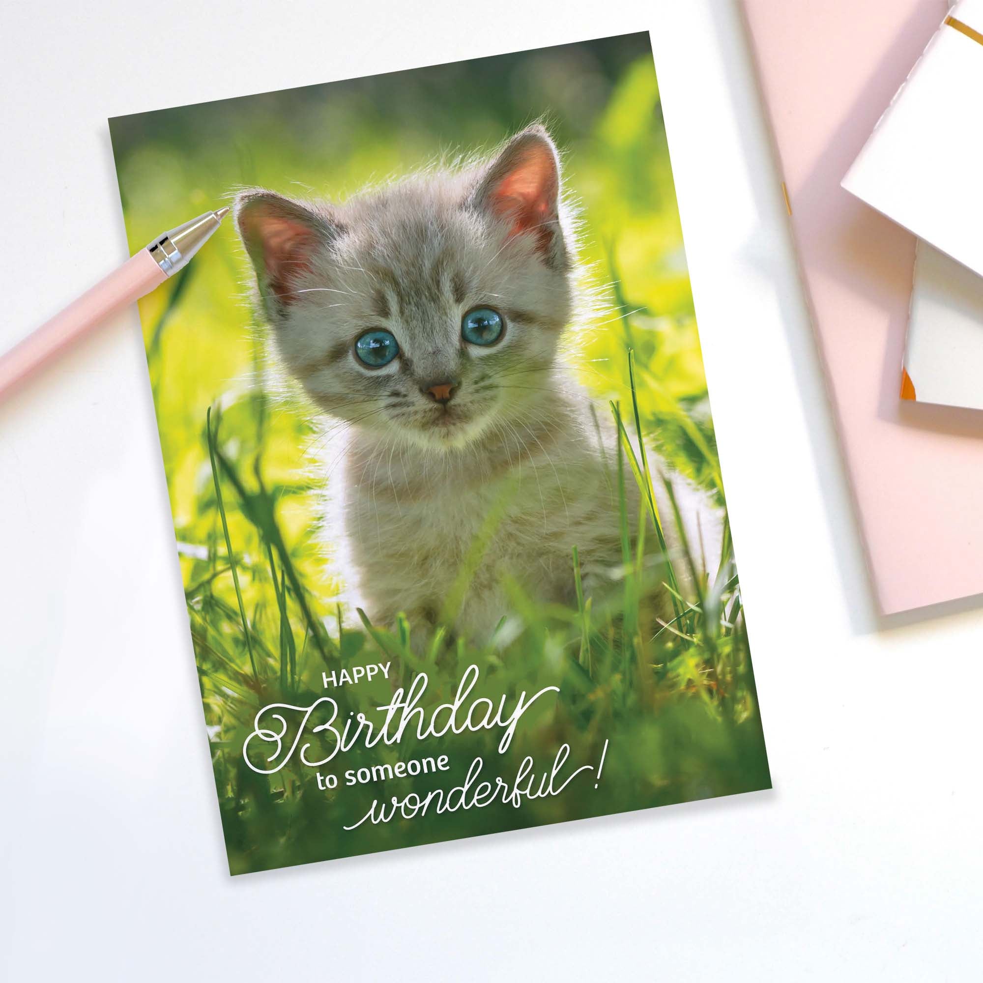 Birthday card with a kitten on a grassy background