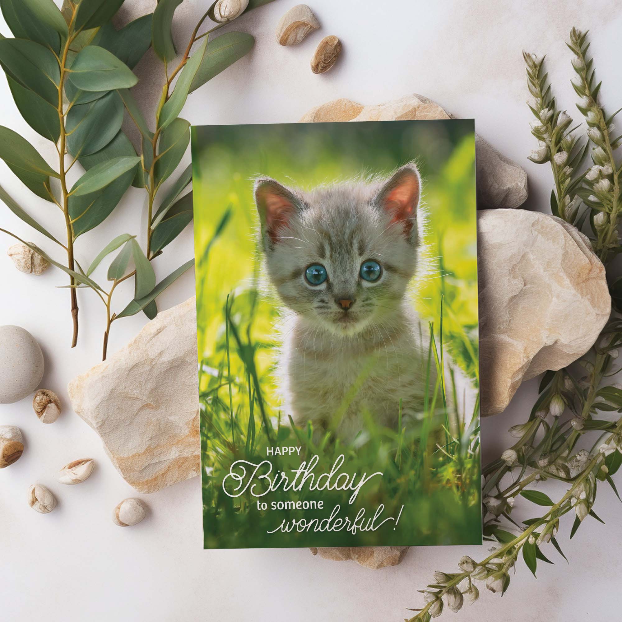 Greeting card with a kitten in grass and birthday message, surrounded by stones and plants.