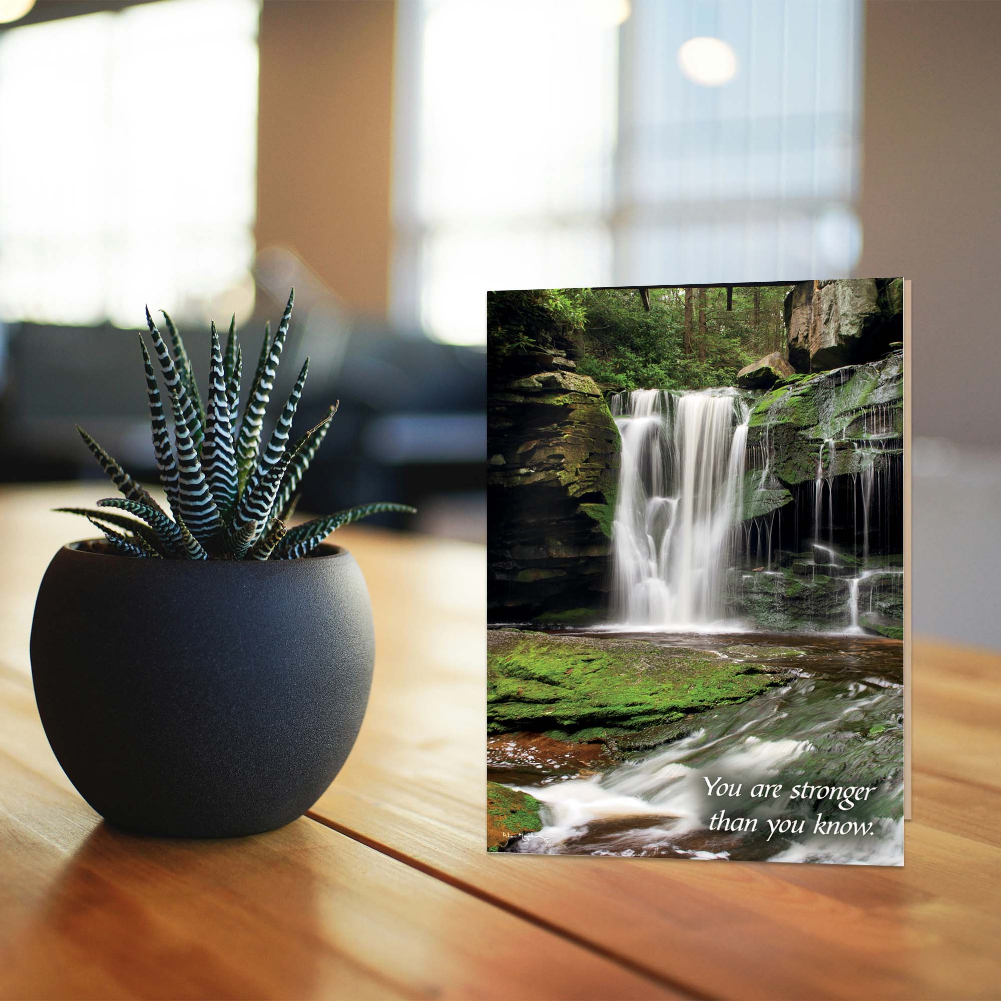 Potted plant on a wooden surface with a motivational card featuring a waterfall in the background