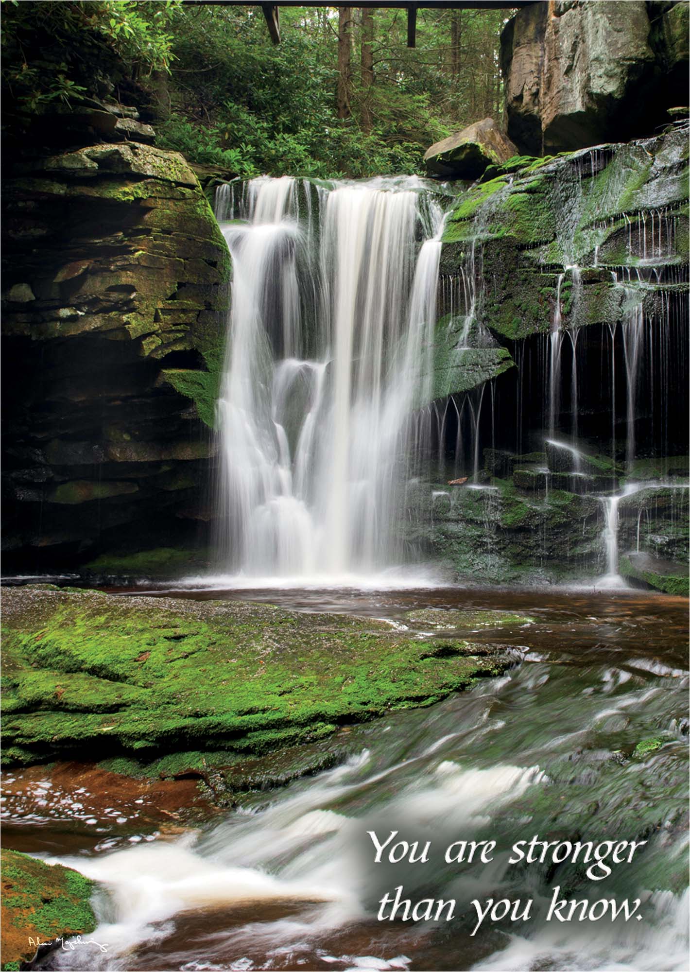Waterfall in a forest with a motivational quote 'You are stronger than you know'.