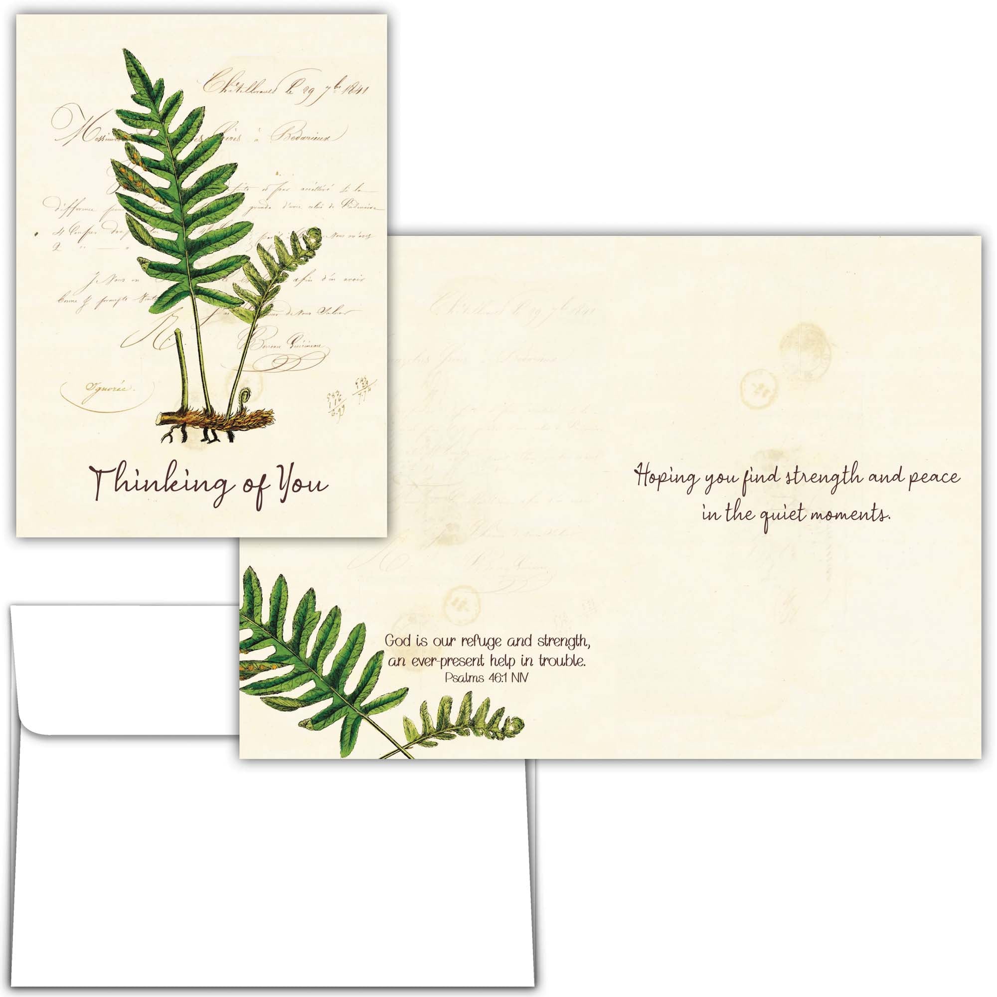 Christian Thinking of You Card | Creekside Fern