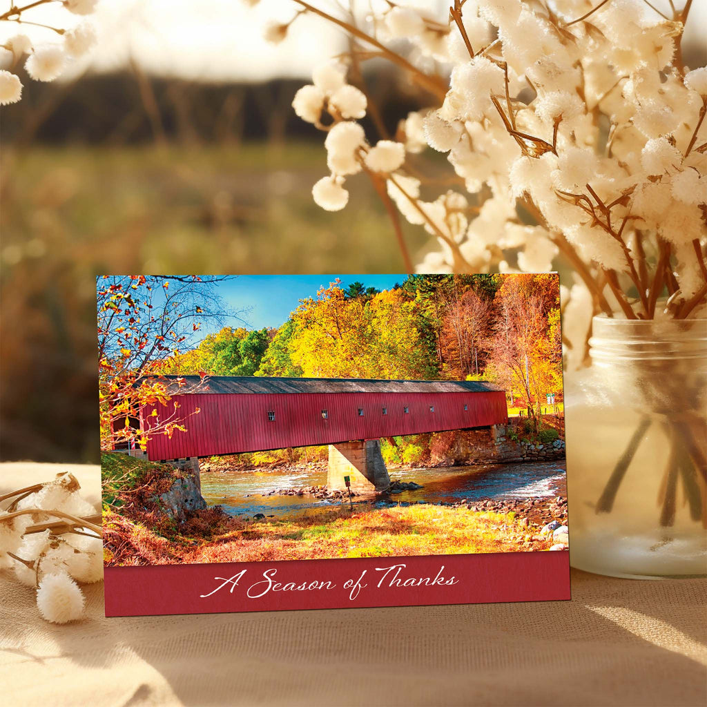 Christian Thanksgiving on Table with Cotton Plant