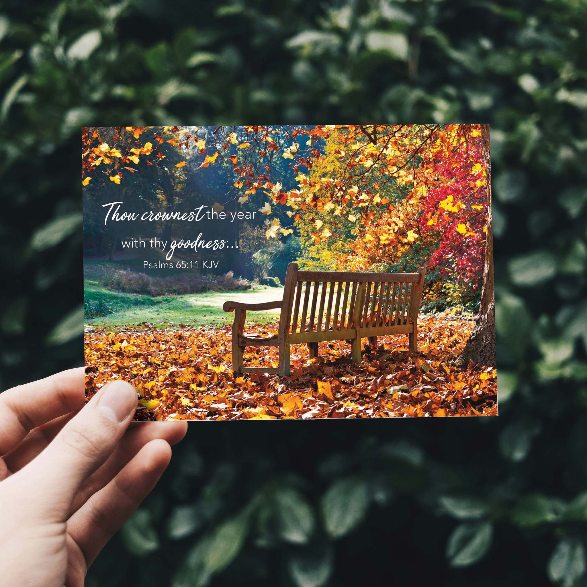 Park Bench in Autumn |  Christian Thanksgiving Card by Shared Blessings