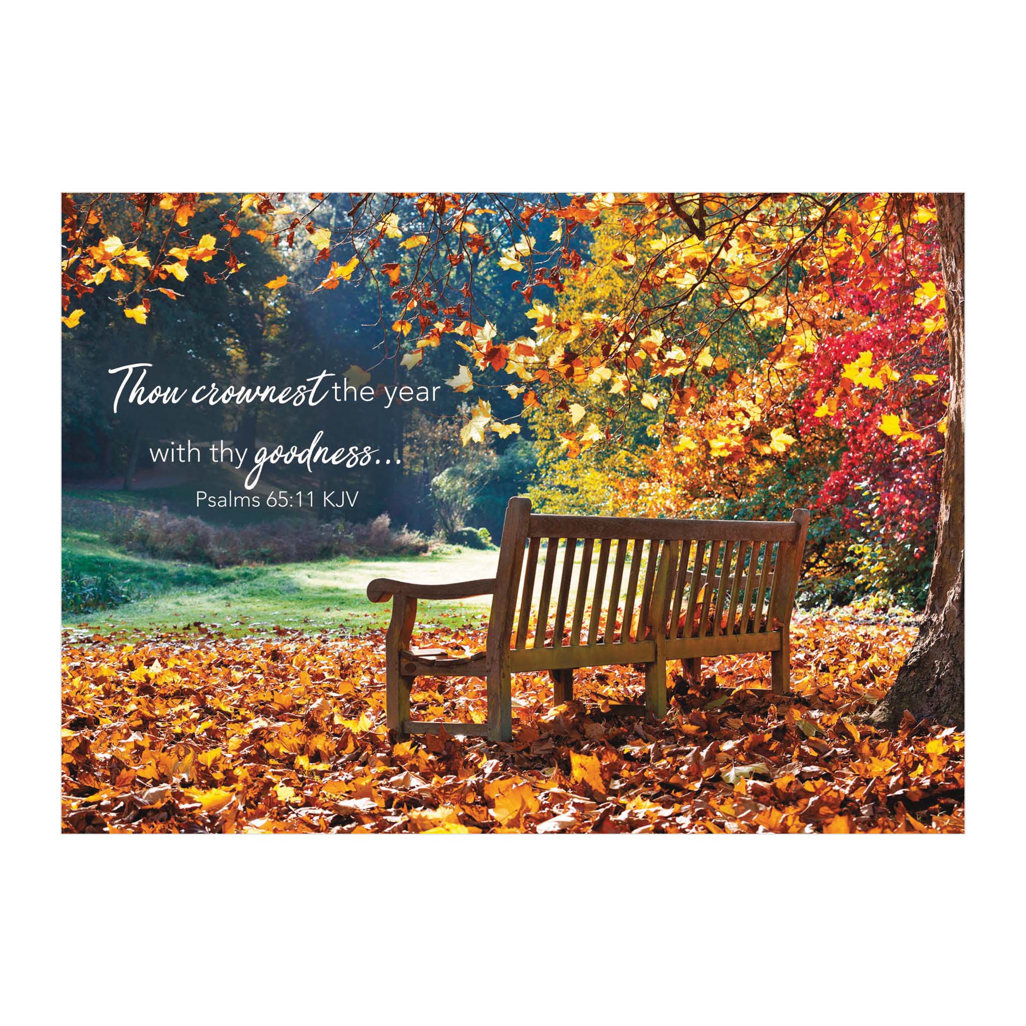 Park Bench in Autumn |  Christian Thanksgiving Card by Shared Blessings