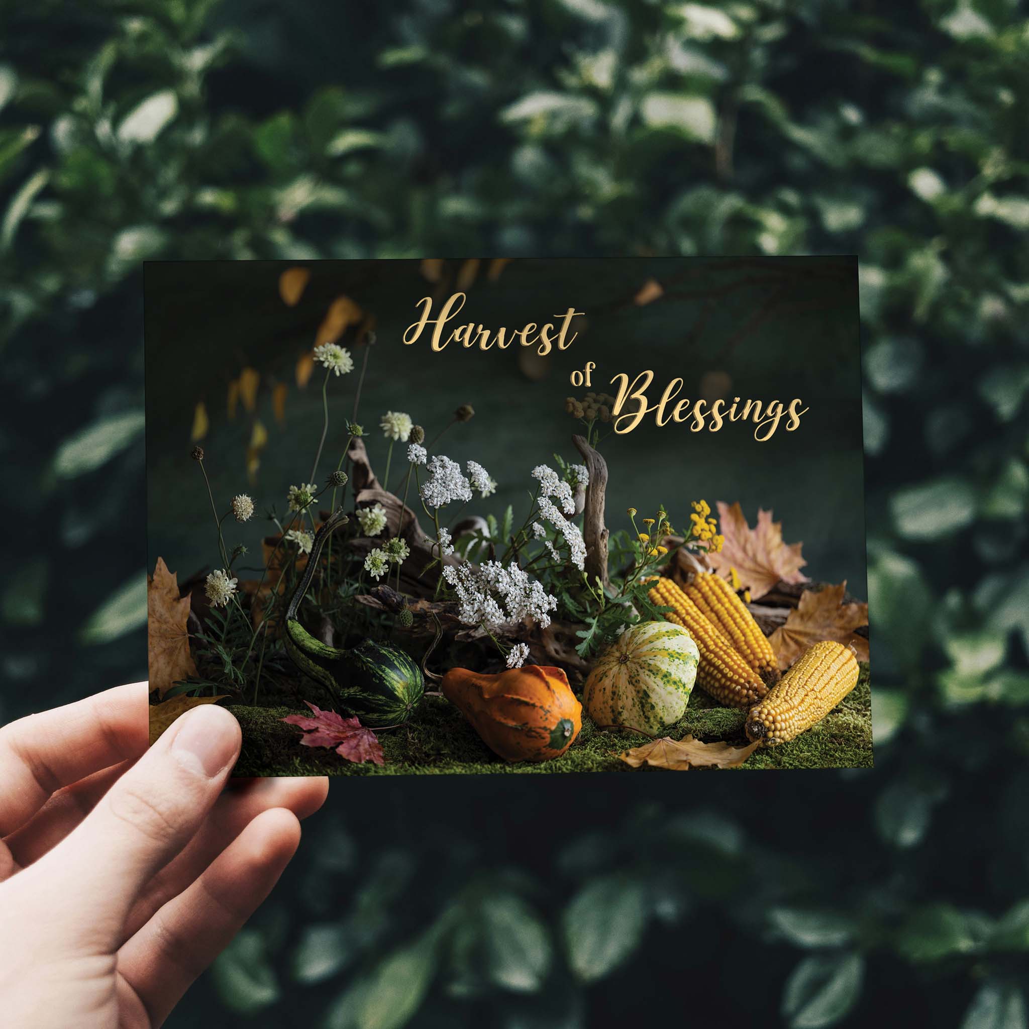 Hand Holding Card with Greenery Background