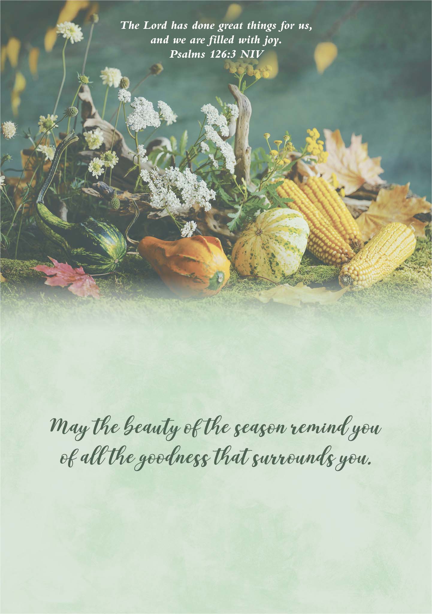 Colored Interior of Religious Card