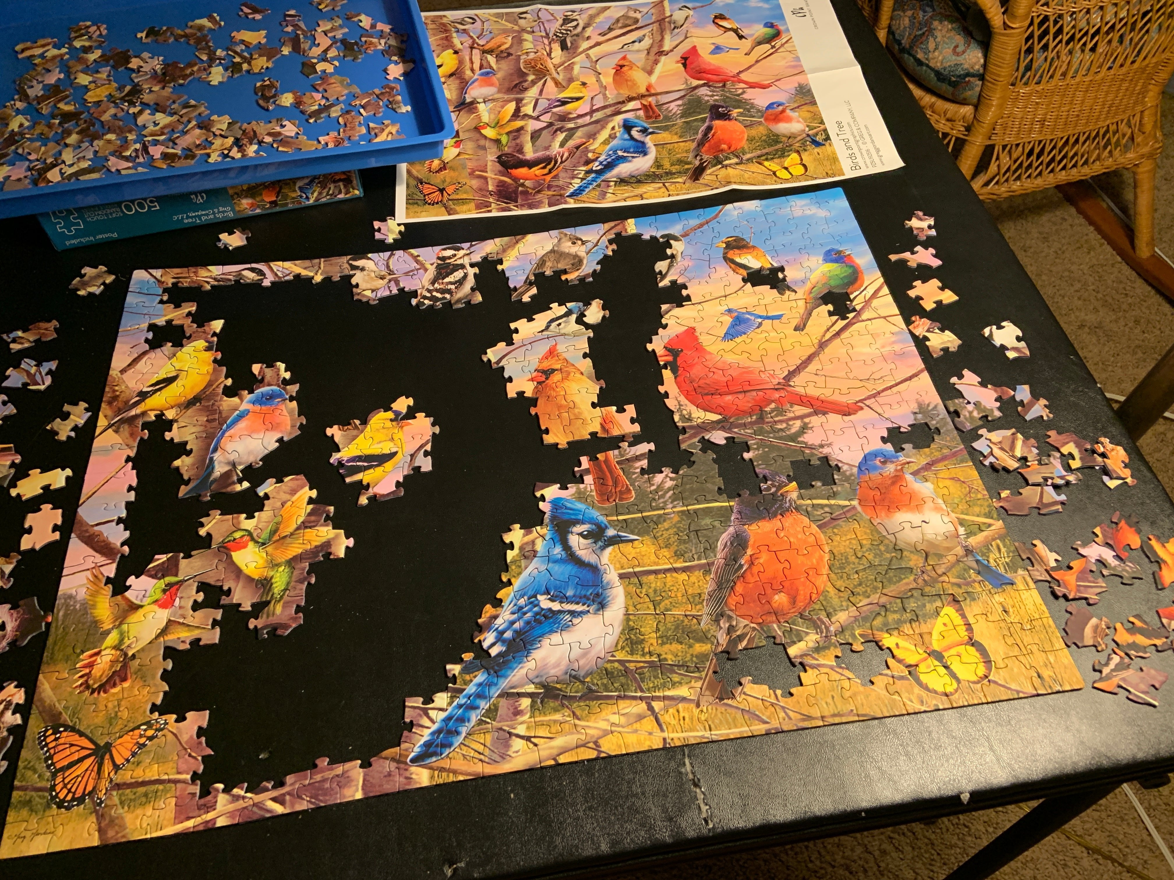 Brain Tree Puzzle 500 Pezzi Per Adulti - Uccelli - Tecnologia Droplet Antiriflesso - Pezzi Spessi 1,75 Mm - Taglio Casuale Unico