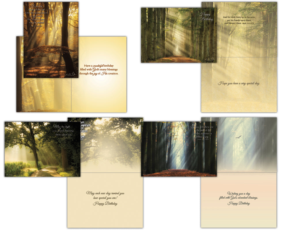 Christian Birthday Cards by Shared Blessings- Rays of Light, Box of 12 Cards