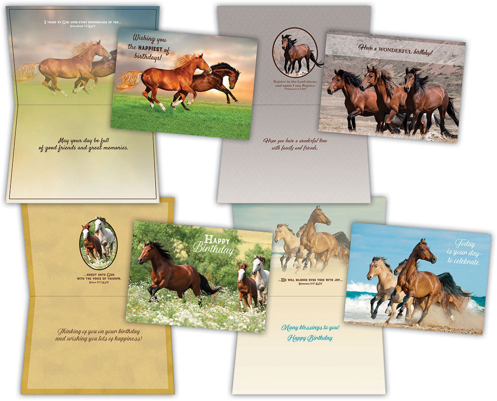 Wild Horses Assorted Birthday Cards
