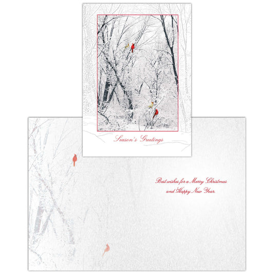 Winter Color - Boxed Christmas Cards