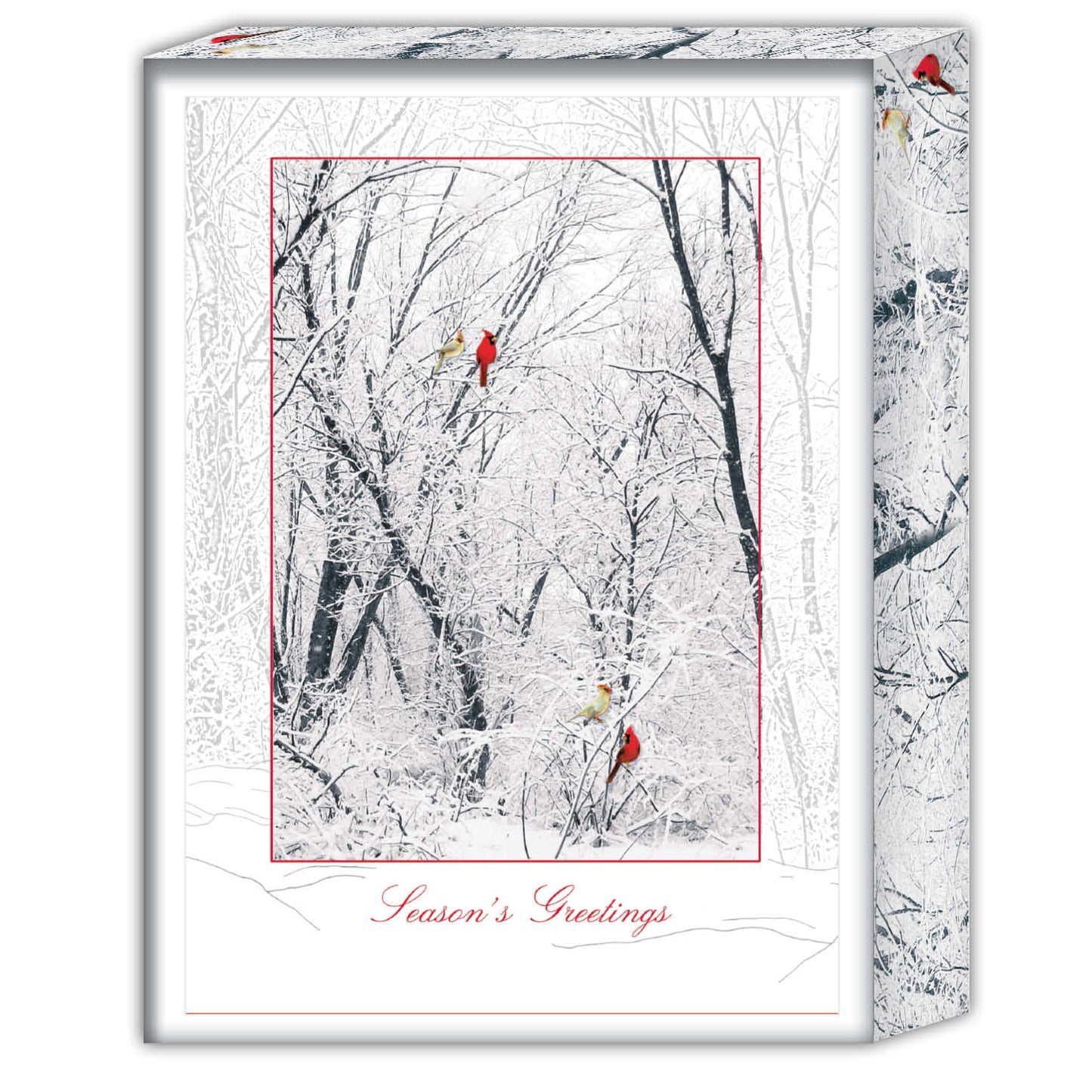 Winter Color - Boxed Christmas Cards