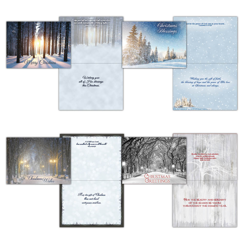 Boxed Christmas Cards-Beauty of the Season