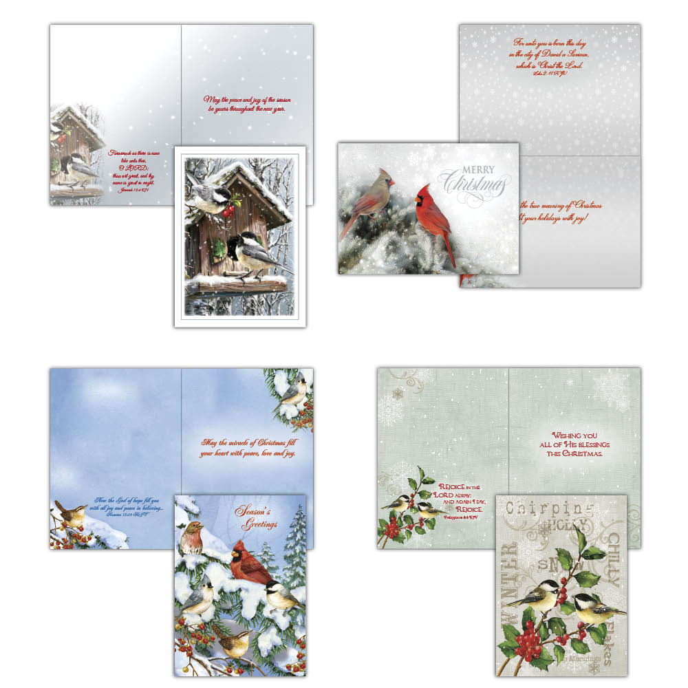 Boxed Christmas Cards - Winter Birds II