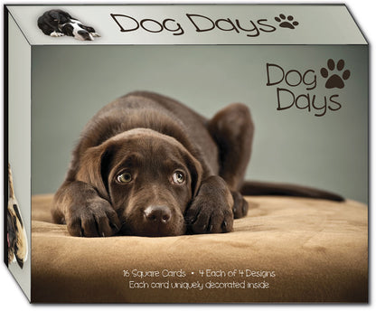 Dog Days - Assorted Greeting Cards, Box of 16