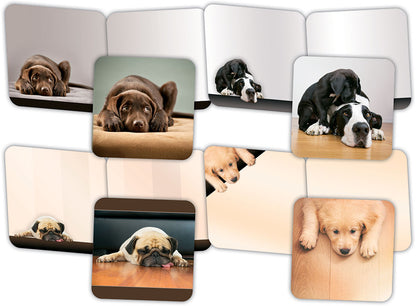 Dog Days - Assorted Greeting Cards, Box of 16
