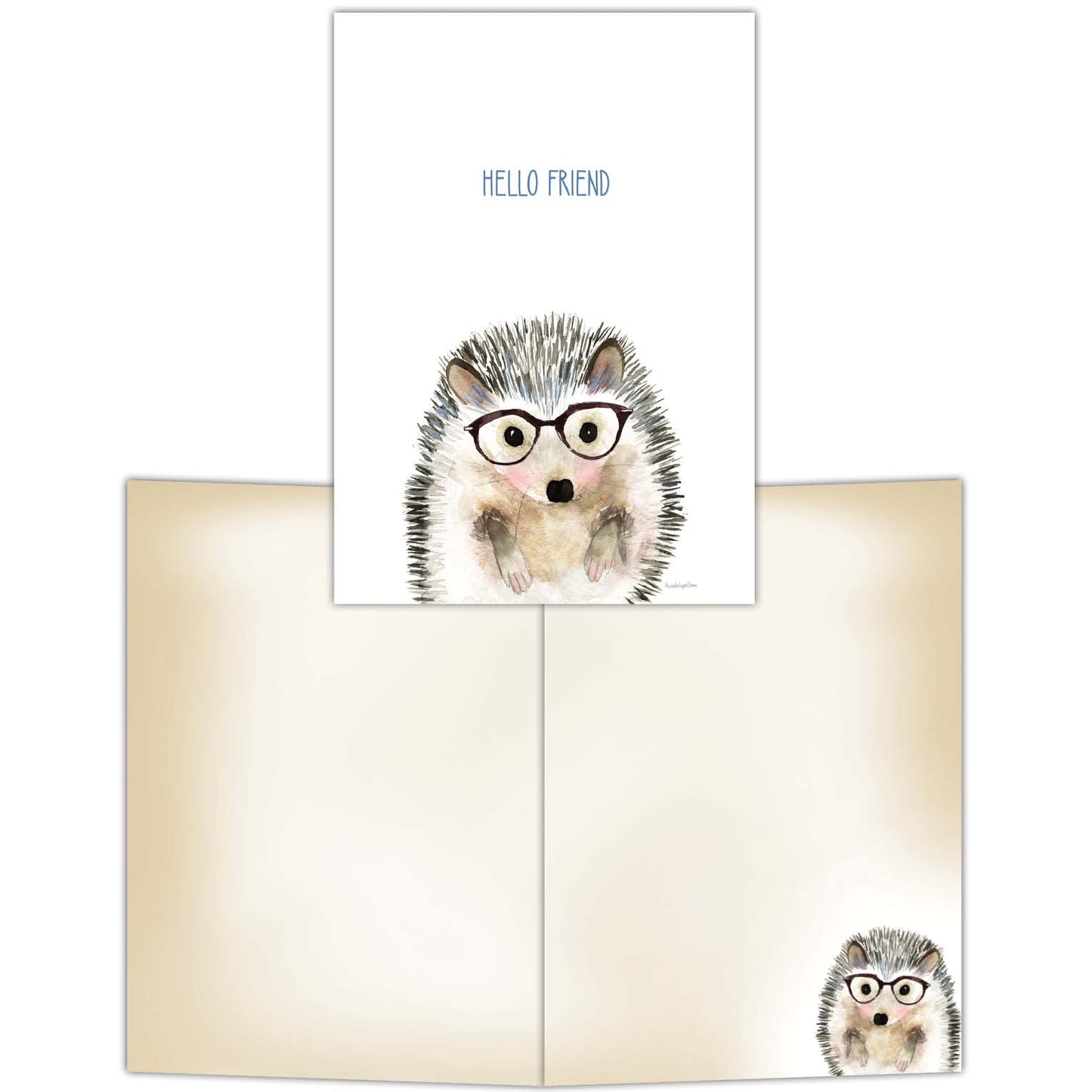 Hedgehog in Glasses - Boxed Note Cards, Box of 12